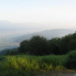 朝もやの風景